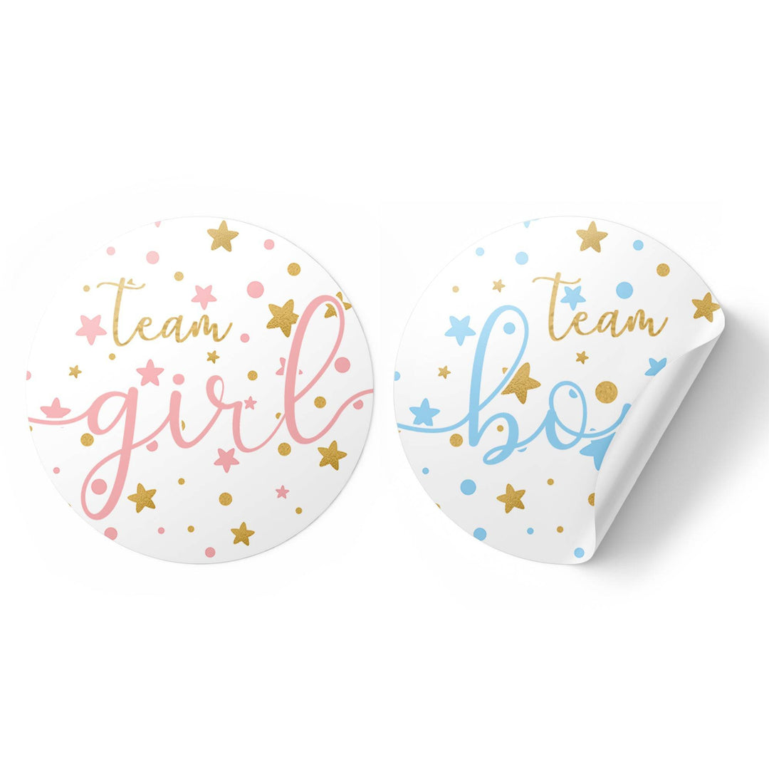 Twinkle Twinkle Little Star Gender Reveal Party - Team Boy or Girl - 40 Stickers - Distinctivs Party