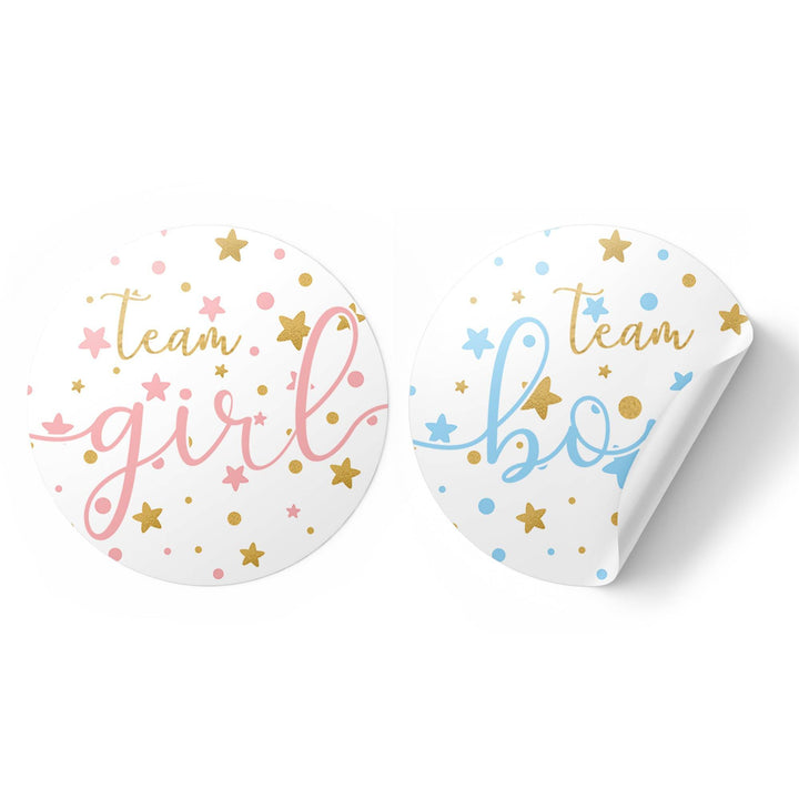 Twinkle Twinkle Little Star Gender Reveal Party - Team Boy or Girl - 40 Stickers - Distinctivs Party