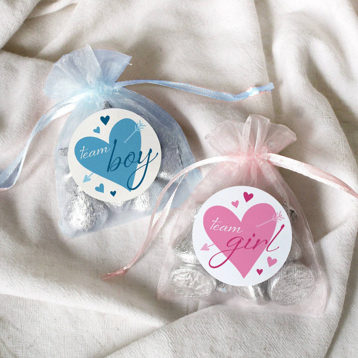 Valentine's Day Gender Reveal Stickers: Blue & Pink Hearts - Team He or Team She Stickers - 40 Stickers - Distinctivs Party