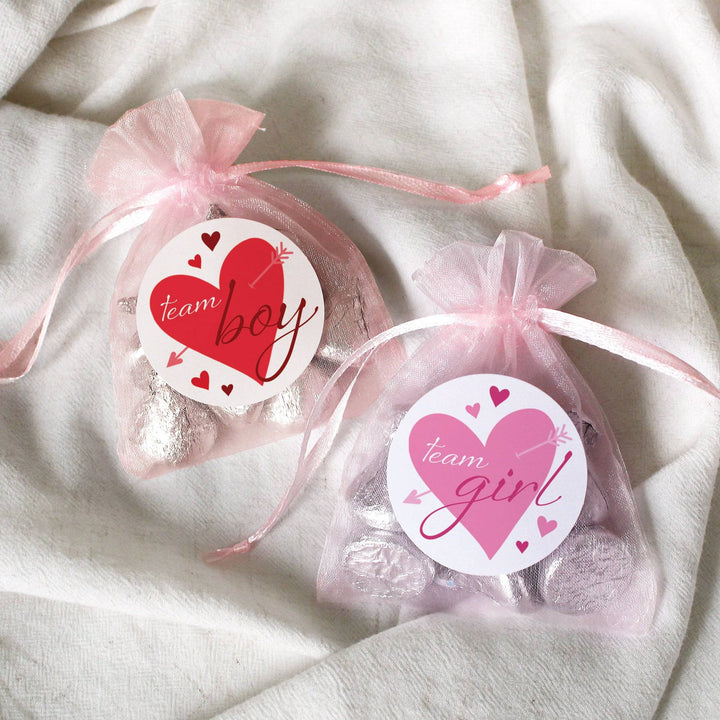 Valentine's Day Gender Reveal Stickers: Red & Pink Hearts - Team He or Team She Stickers - 40 Stickers - Distinctivs Party