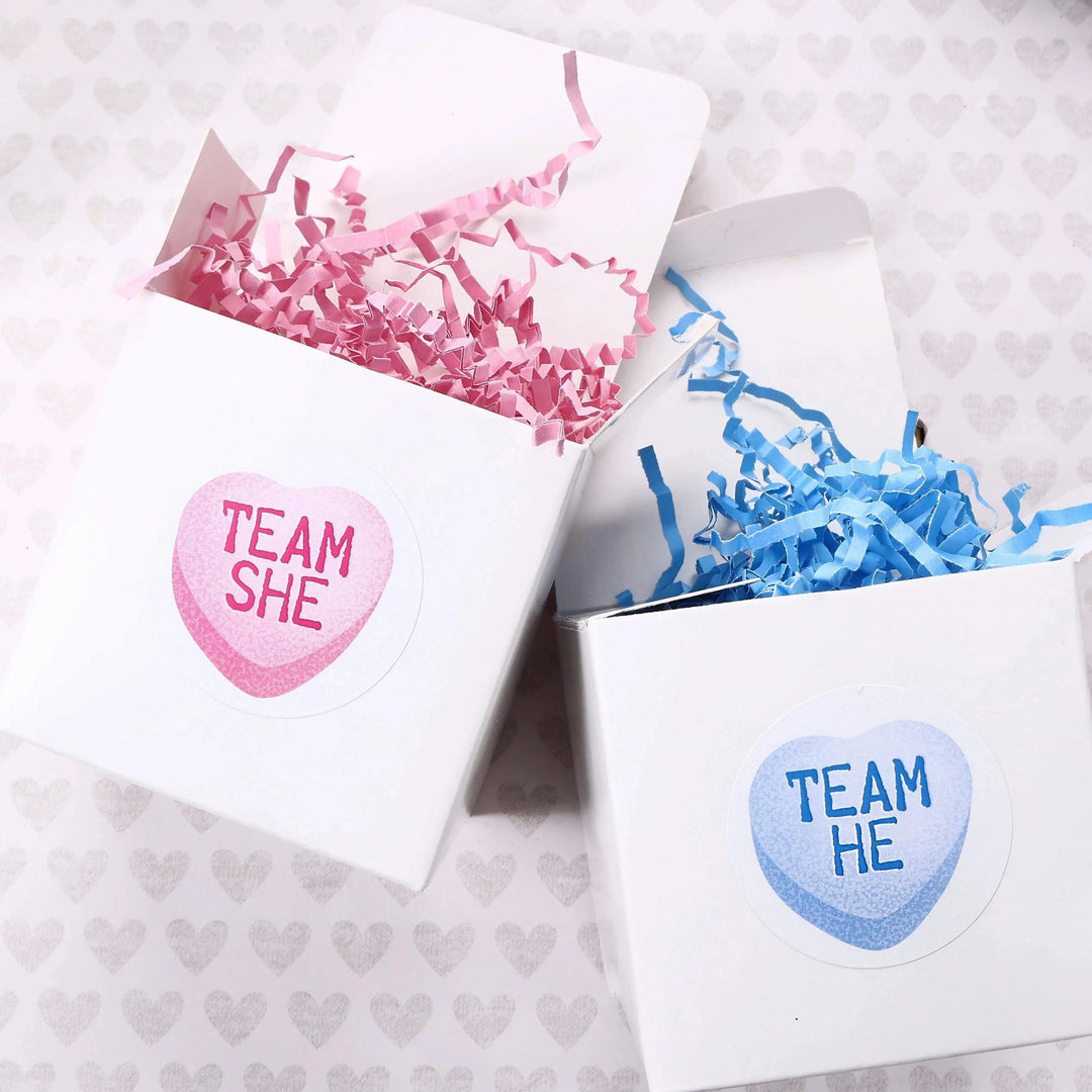 Valentine's Day Gender Reveal Stickers:  What Will Our Little Sweetheart Be Gender Reveal - 40 Stickers - Distinctivs Party