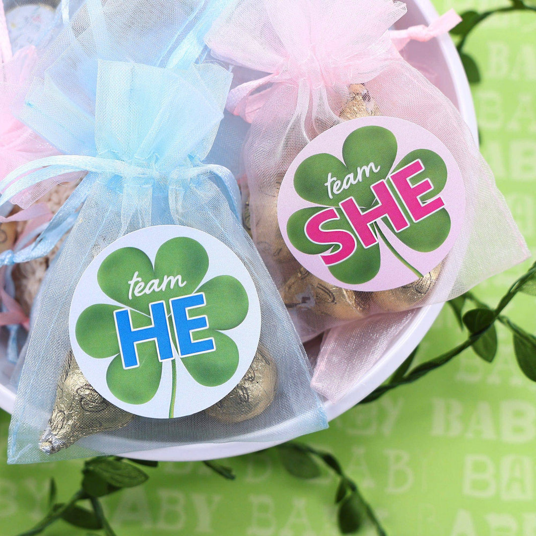 What Will Our Lucky Charm Be St. Patrick's Day Gender Reveal Stickers - 40 Stickers - Distinctivs Party
