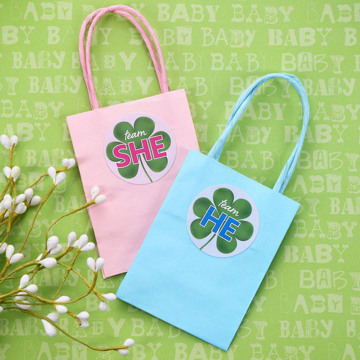 What Will Our Lucky Charm Be St. Patrick's Day Gender Reveal Stickers - 40 Stickers - Distinctivs Party