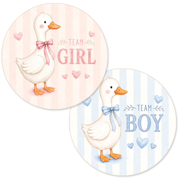 Two round baby shower stickers featuring cartoon white ducks with pink and blue bows, on a white background. One sticker says 'TEAM GIRL' in pink text with pink hearts, and the other says 'TEAM BOY' in blue text with blue hearts.