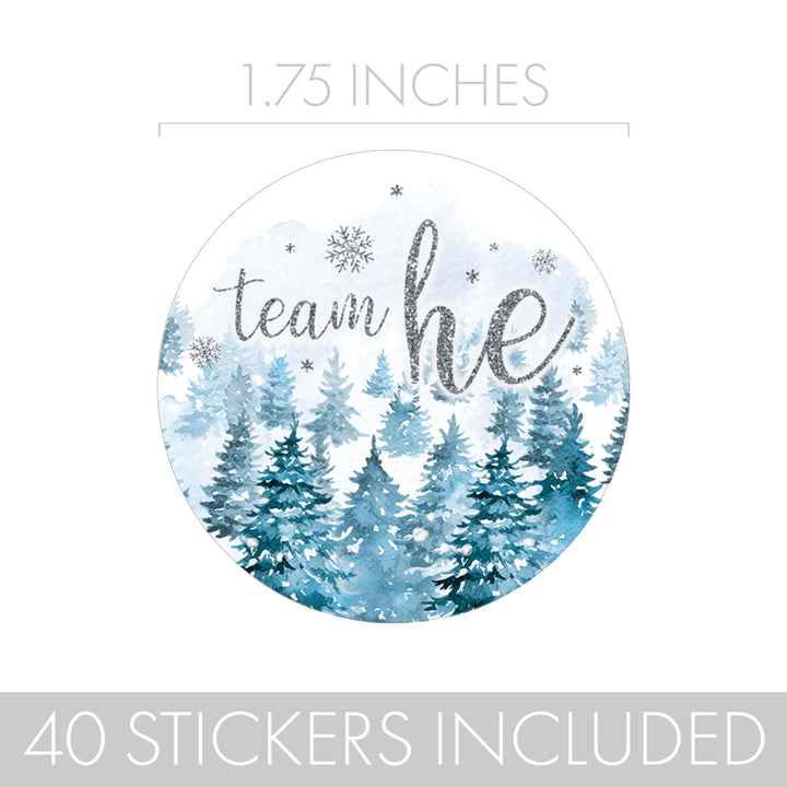 Winter Trees: Gender Reveal Party - Team He or She - 40 Stickers