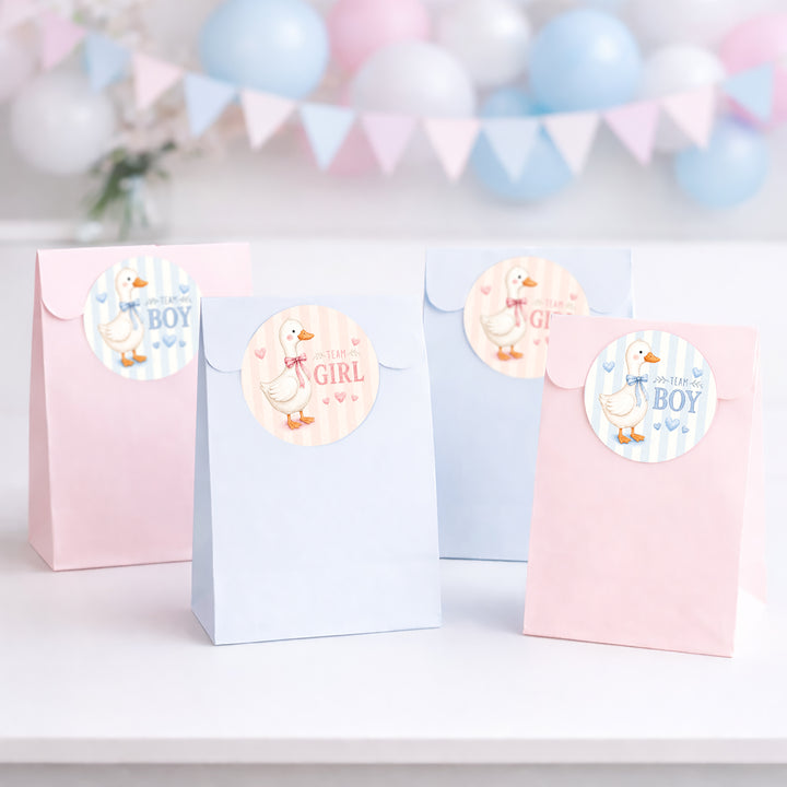 Four pastel party favor bags standing on a white surface, decorated with round goose-themed stickers saying team boy and team girl.