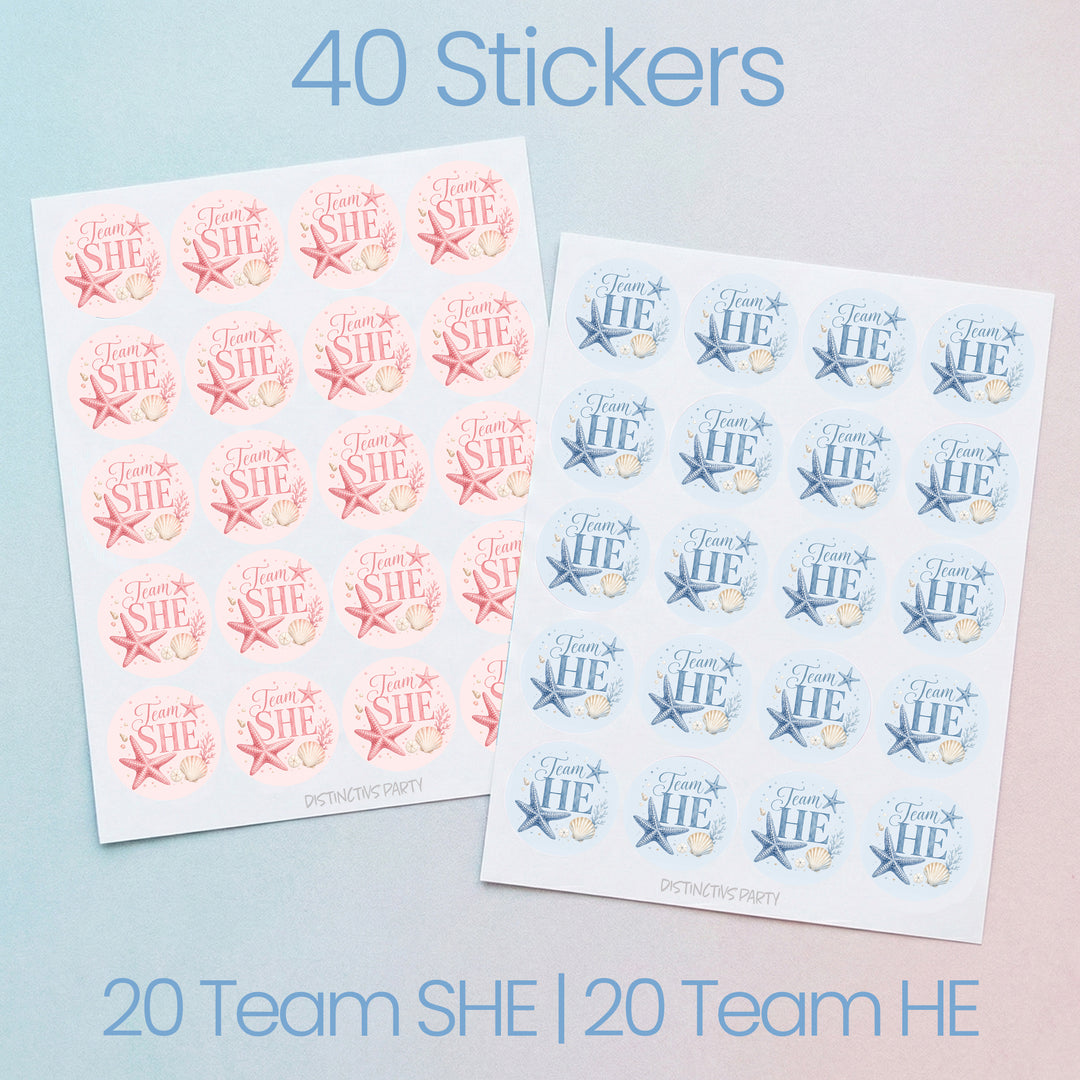 Two sticker sheets on a pale blue background with text reading '40 Stickers' at the top and '20 Team SHE | 20 Team HE' at the bottom. One sheet has pink and white stickers, and the other has blue and white stickers.