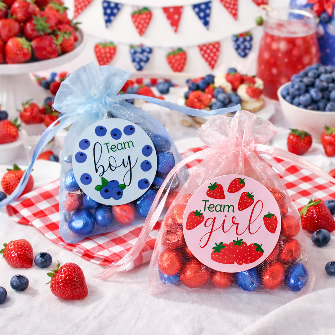 Berry Sweet Baby Gender Reveal Party Stickers – Strawberry & Blueberry Theme, Team Blue Boy or Team Pink Girl, 40 Count