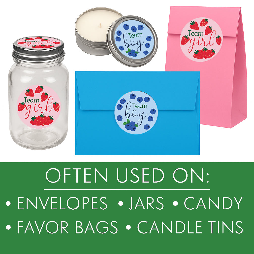 Berry Sweet Baby Gender Reveal Party Stickers – Strawberry & Blueberry Theme, Team Blue Boy or Team Pink Girl, 40 Count