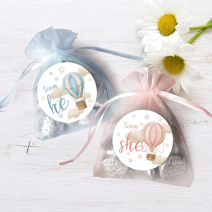 Hot Air Balloon: Gender Reveal Party - He or She  - 40 Stickers
