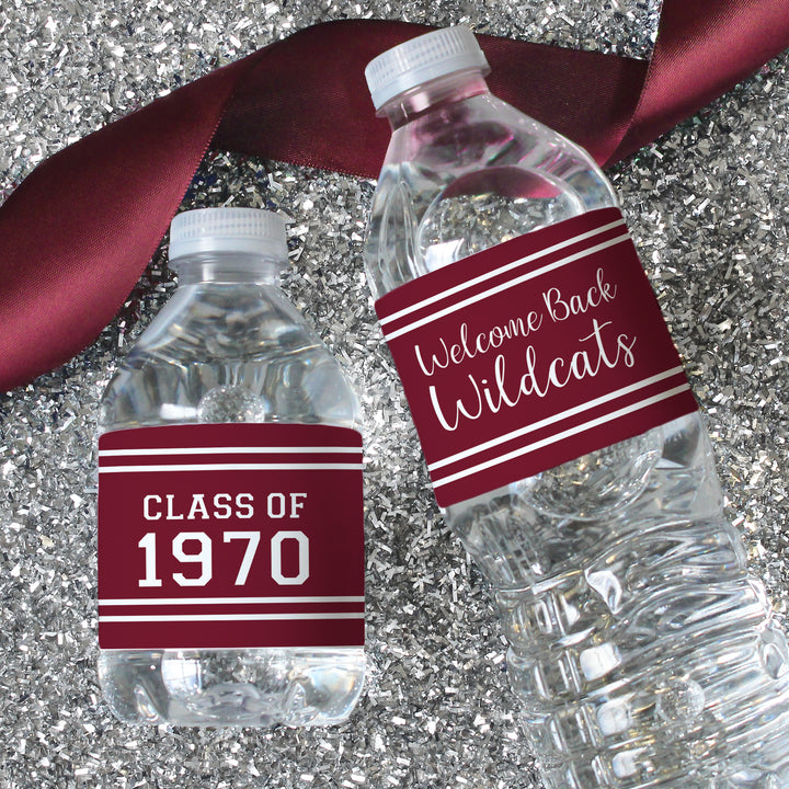 Personalized Class Reunion Party Water Bottle Labels - 24, 100, or 250 Stickers (12 Color Choices)