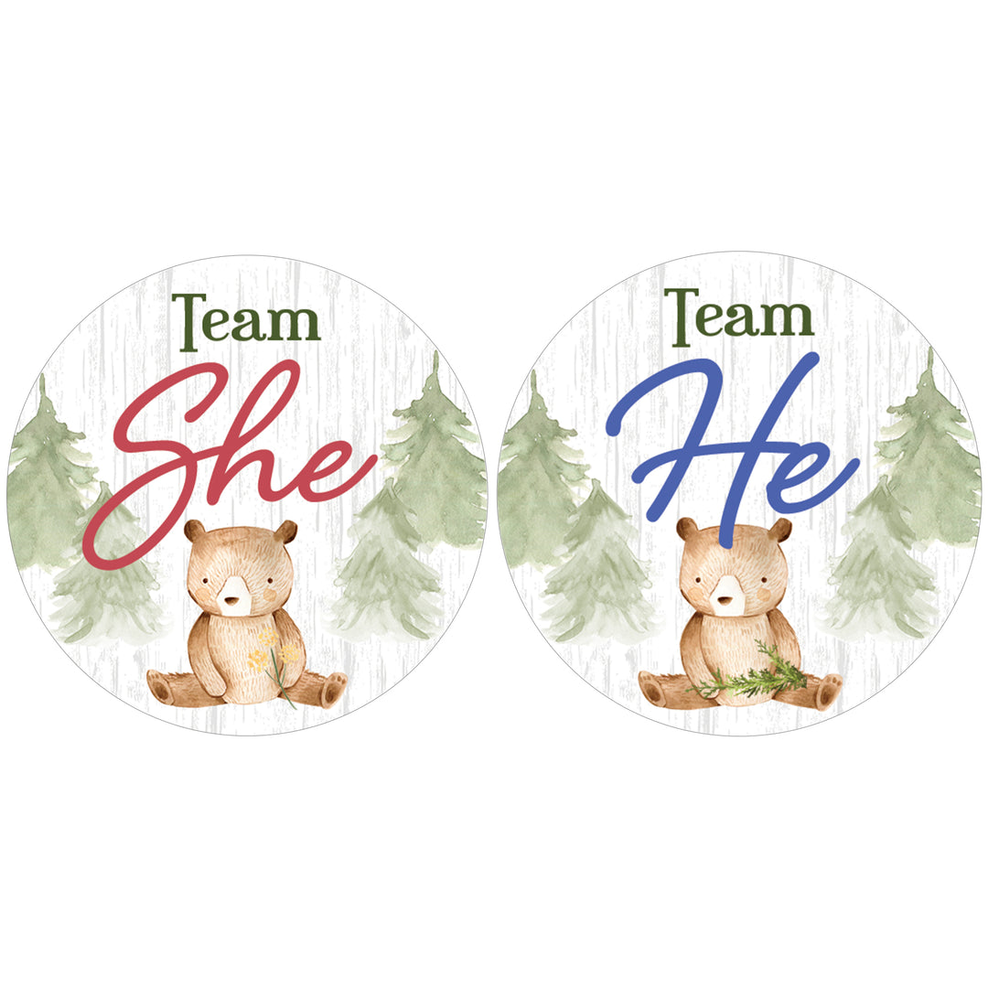 Woodland Bear: Gender Reveal Party - We Can Bearly Wait, Team He or She - 40 Stickers