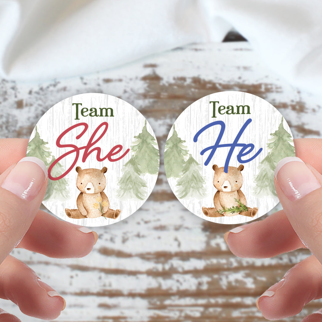 Woodland Bear: Gender Reveal Party - We Can Bearly Wait, Team He or She - 40 Stickers