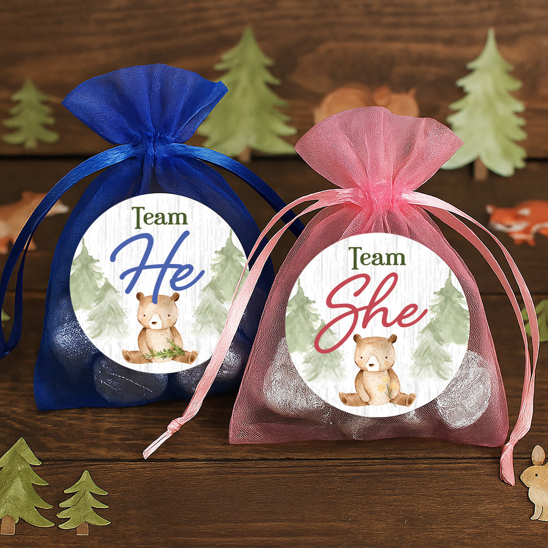 Woodland Bear: Gender Reveal Party - We Can Bearly Wait, Team He or She - 40 Stickers