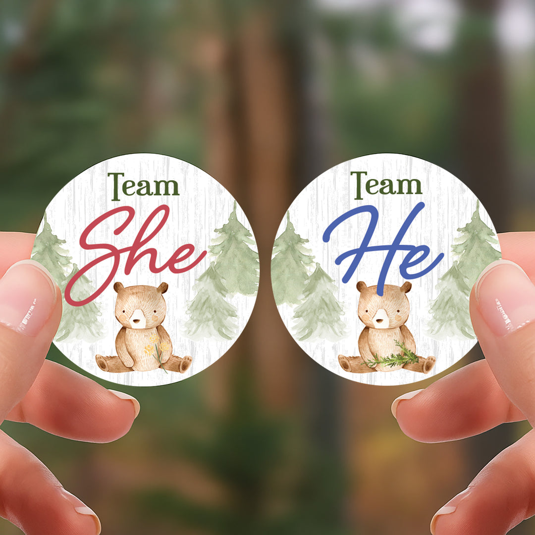 Woodland Bear: Gender Reveal Party - We Can Bearly Wait, Team He or She - 40 Stickers