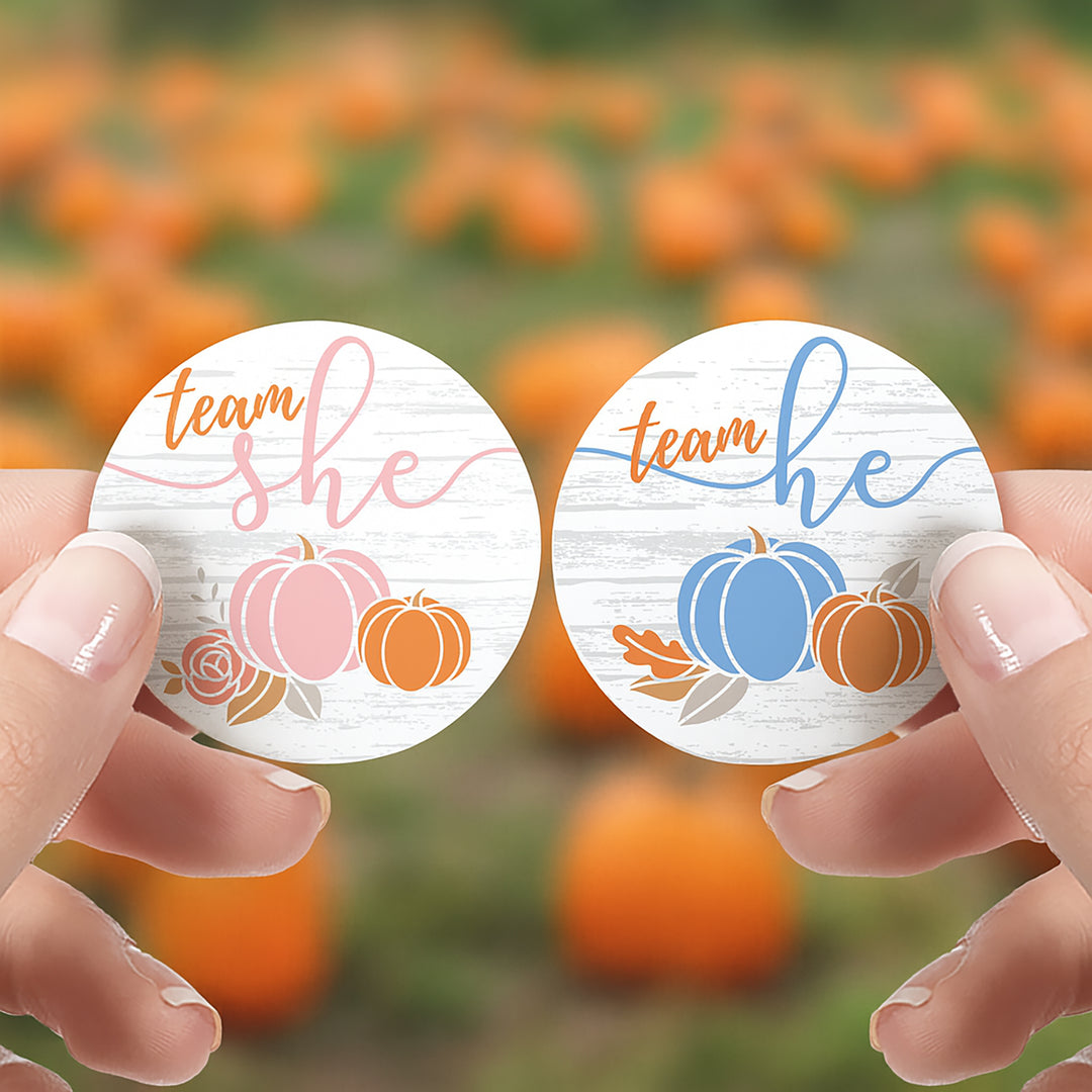 Little Pumpkin: Baby Gender Reveal Party - Team He or She Stickers - 40 Stickers
