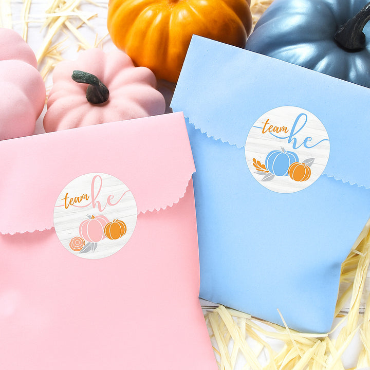 Little Pumpkin: Baby Gender Reveal Party - Team He or She Stickers - 40 Stickers