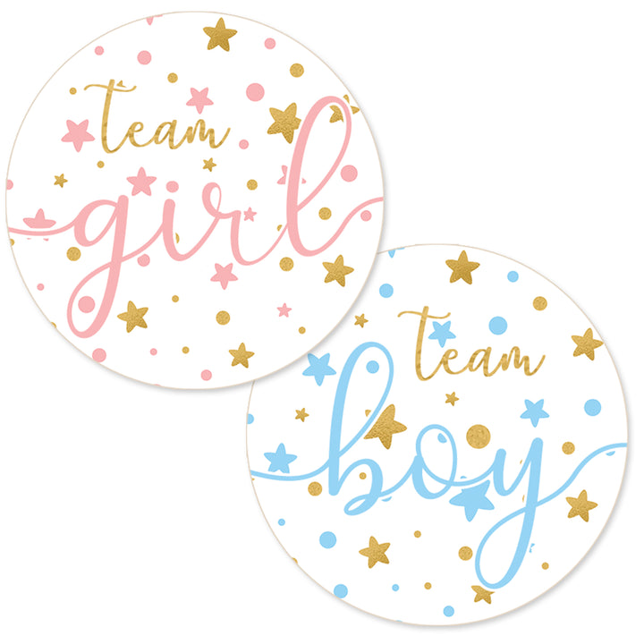 Twinkle Twinkle Little Star Gender Reveal Party - Team Boy or Girl - 40 Stickers
