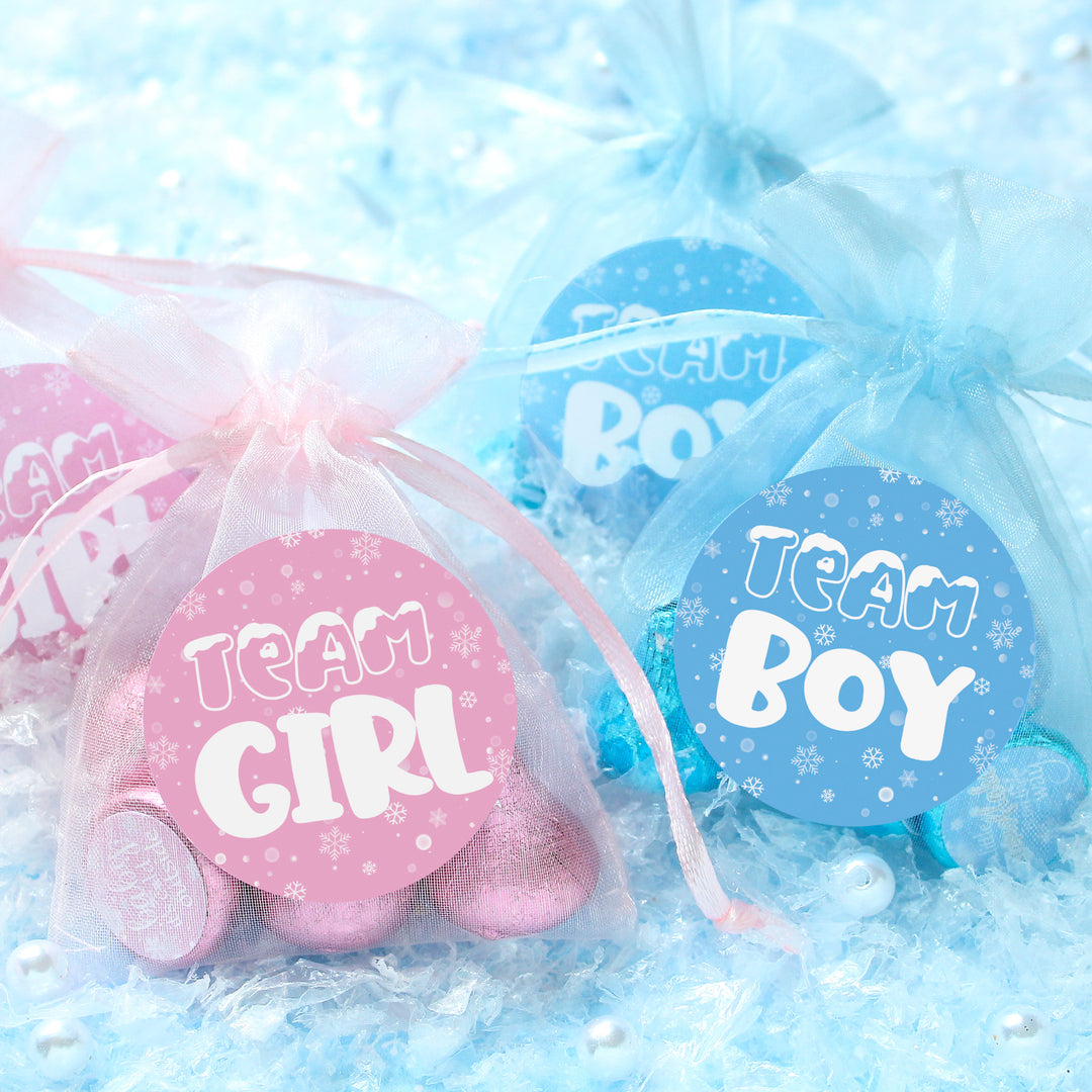 What Will Our Snowflake Be Winter Baby Gender Reveal Party - Blue or Pink Team Boy or Girl - 40 Stickers