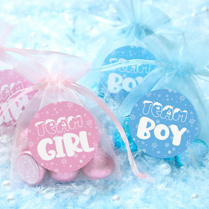 What Will Our Snowflake Be Winter Baby Gender Reveal Party - Blue or Pink Team Boy or Girl - 40 Stickers