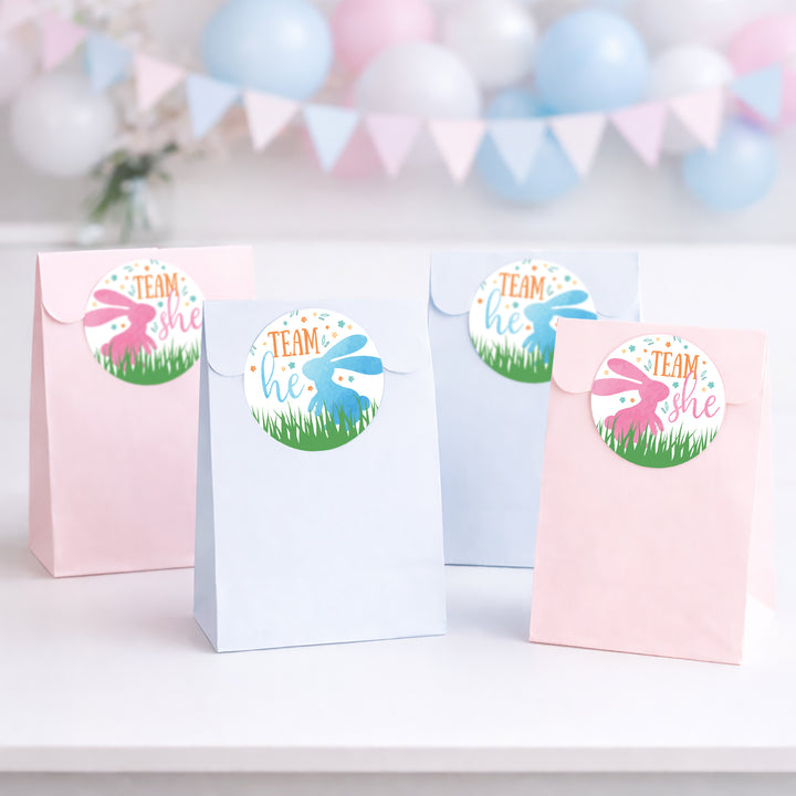 Fiesta de revelación de género de Pascua: Conejito - Pegatinas de votación del equipo Él o del Equipo Ella - 40 pegatinas