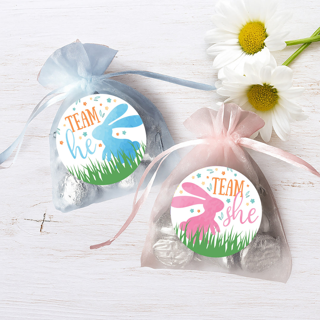 Fiesta de revelación de género de Pascua: Conejito - Pegatinas de votación del equipo Él o del Equipo Ella - 40 pegatinas