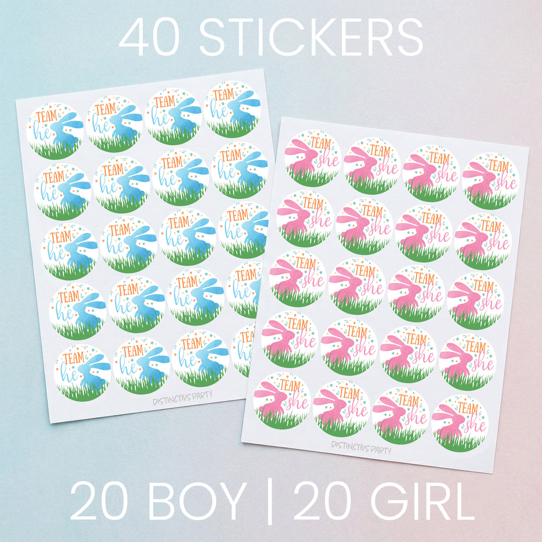 Fiesta de revelación de género de Pascua: Conejito - Pegatinas de votación del equipo Él o del Equipo Ella - 40 pegatinas