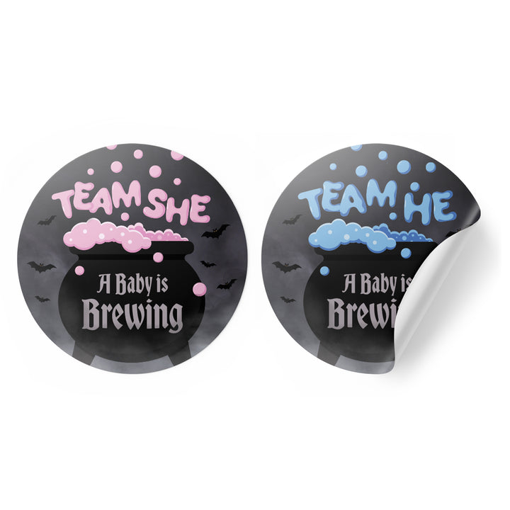 Halloween Gender Reveal Party: Pink and Blue Baby is Brewing- Baby Shower - Team He or Team She Voting - 40 Stickers - Distinctivs Party