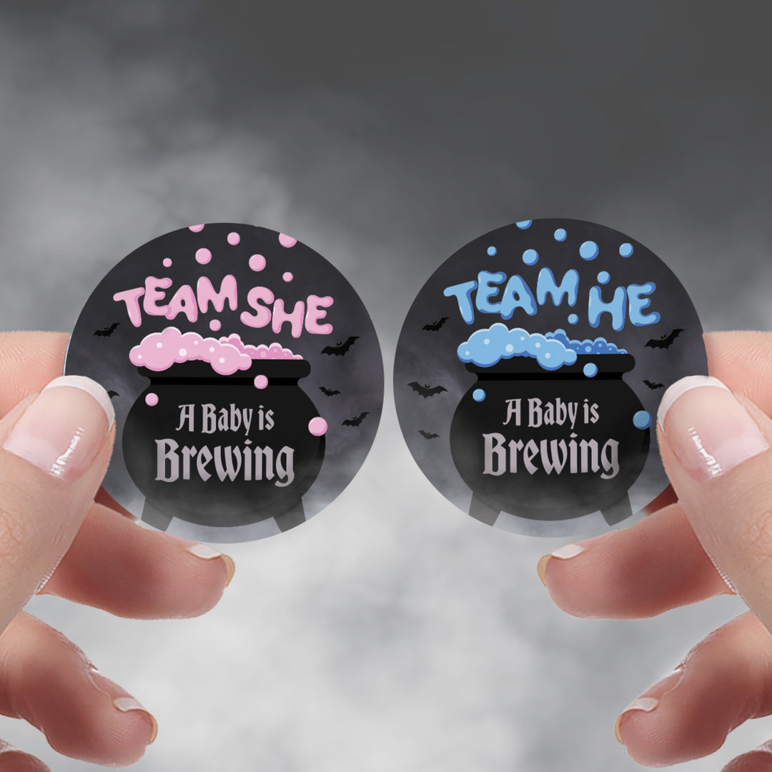 Halloween Gender Reveal Party: Pink and Blue Baby is Brewing- Baby Shower - Team He or Team She Voting - 40 Stickers - Distinctivs Party