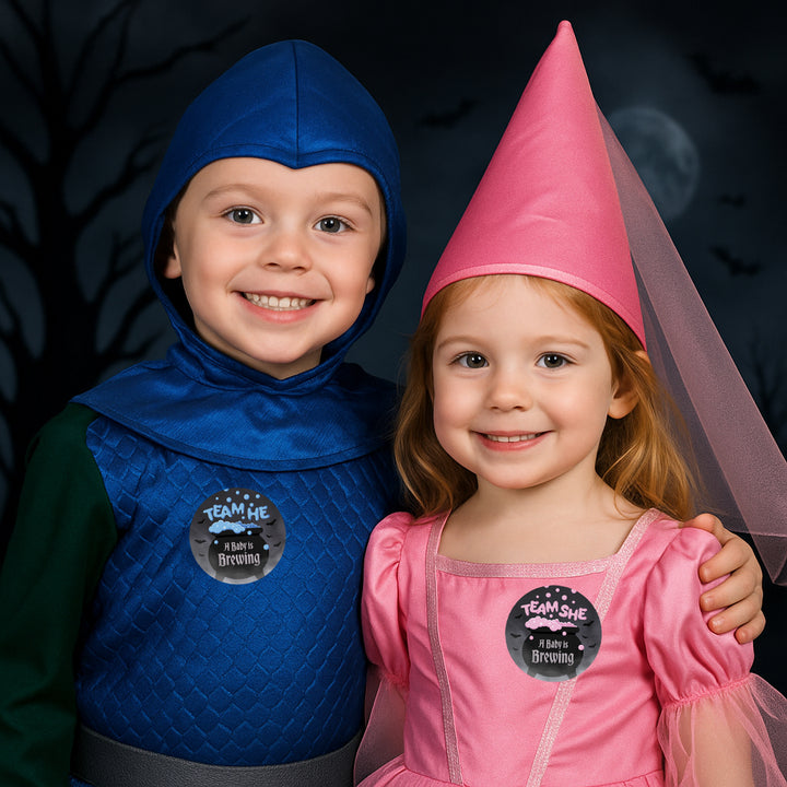 Halloween Gender Reveal Party: Pink and Blue Baby is Brewing- Baby Shower - Team He or Team She Voting - 40 Stickers