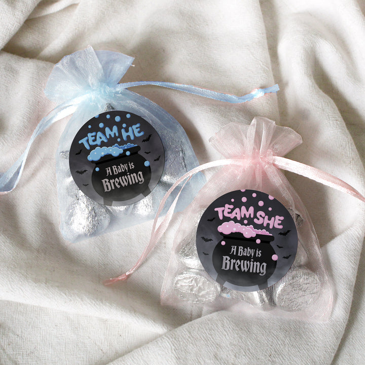 Halloween Gender Reveal Party: Pink and Blue Baby is Brewing- Baby Shower - Team He or Team She Voting - 40 Stickers - Distinctivs Party
