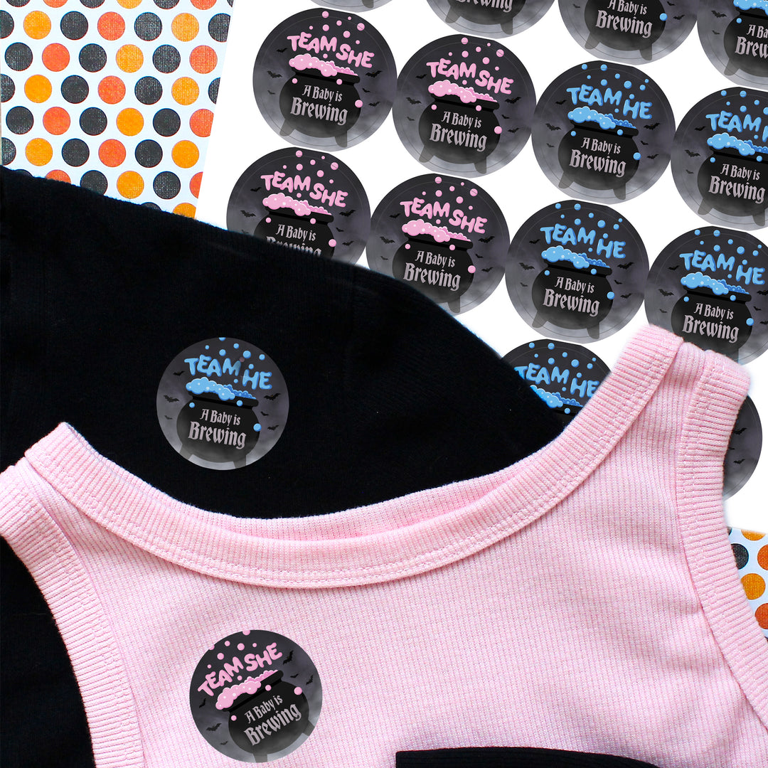Halloween Gender Reveal Party: Pink and Blue Baby is Brewing- Baby Shower - Team He or Team She Voting - 40 Stickers - Distinctivs Party