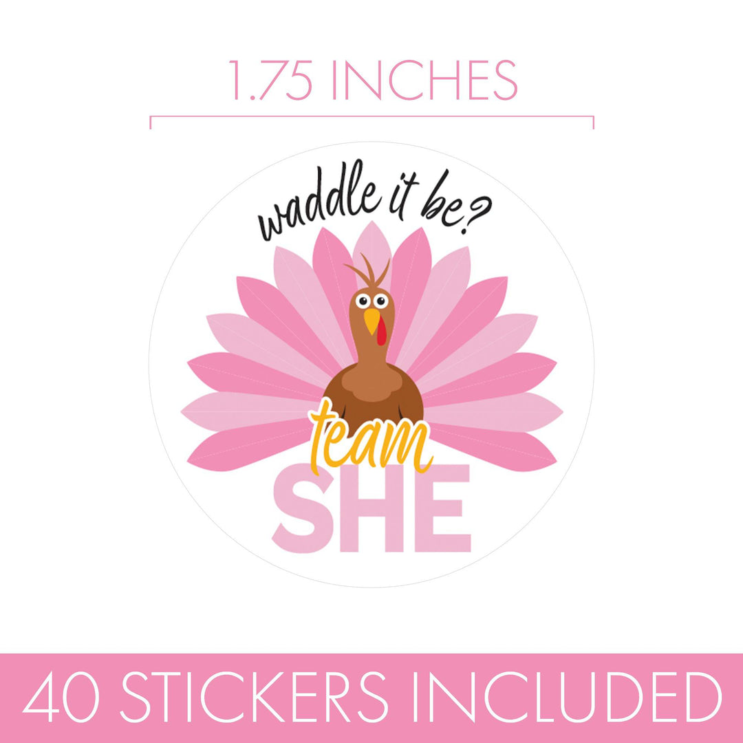 Thanksgiving Turkey Gender Reveal Stickers  - Team He or She - 40 Stickers