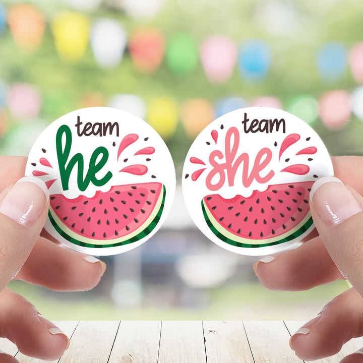 Watermelon Gender Reveal Party - Team He or Team She Stickers - 40 Stickers