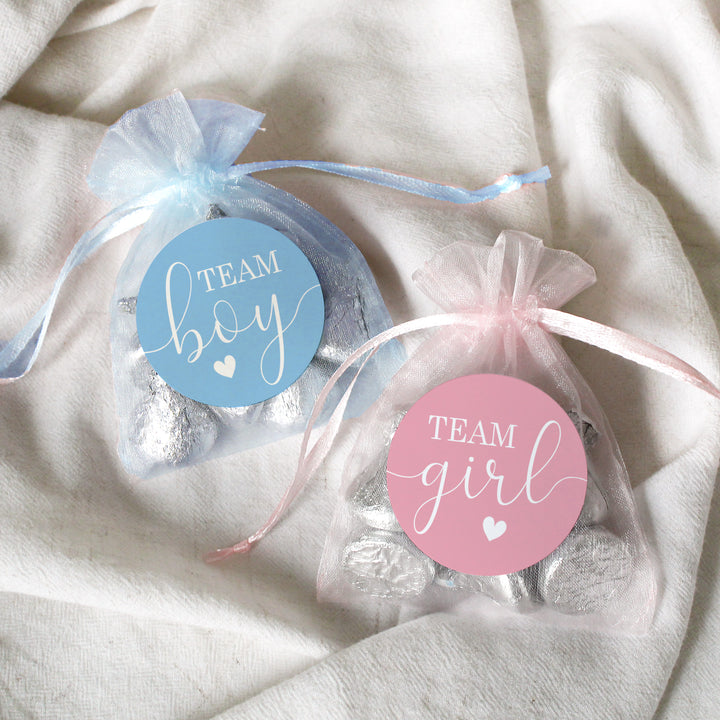 Gender Reveal Party: Pink and Blue - Team Boy or Team Girl Stickers - 40 Stickers - Distinctivs Party