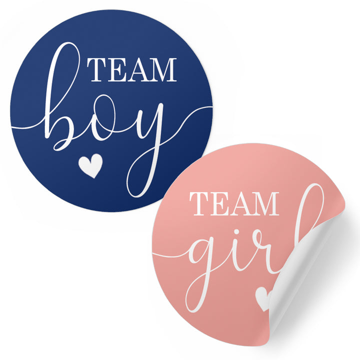 Fiesta de revelación de género: cuatro conjuntos de colores - pegatinas de equipo niño o equipo niña - 40 pegatinas