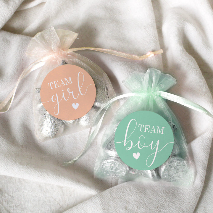 Gender Reveal Party: Mint and Peach - Team Boy or Team Girl Stickers - 40 Stickers - Distinctivs Party