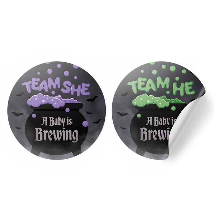 Halloween Gender Reveal Party: Purple and Green Baby is Brewing- Baby Shower - Team He or Team She Voting - 40 Stickers - Distinctivs Party