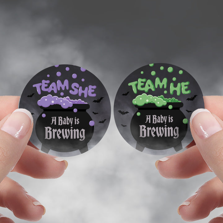 Halloween Gender Reveal Party: Purple and Green Baby is Brewing- Baby Shower - Team He or Team She Voting - 40 Stickers - Distinctivs Party