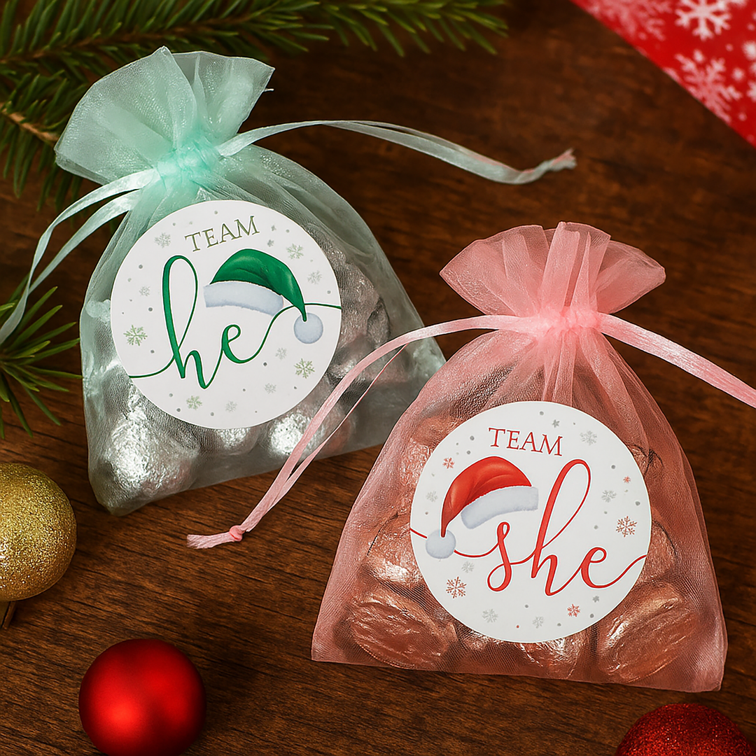 Pegatinas navideñas de revelación de género: Fiesta de Papá Noel - Pegatinas del equipo Él o del Equipo Ella - 40 pegatinas
