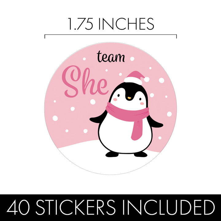 Christmas Gender Reveal Stickers: Penguin Party - Team He or Team She Stickers - 40 Stickers