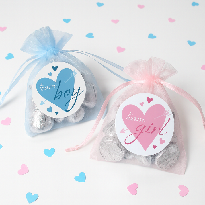 Valentine's Day Gender Reveal Stickers: Blue & Pink Hearts - Team He or Team She Stickers - 40 Stickers