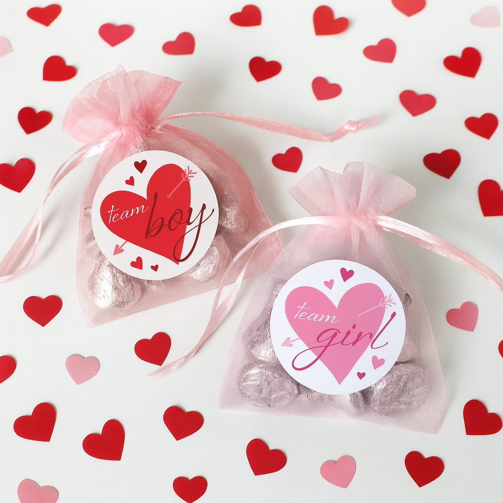 Pegatinas de revelación de género del Día de San Valentín: Corazones rojos y rosados ​​- Pegatinas del equipo Él o del Equipo Ella - 40 pegatinas