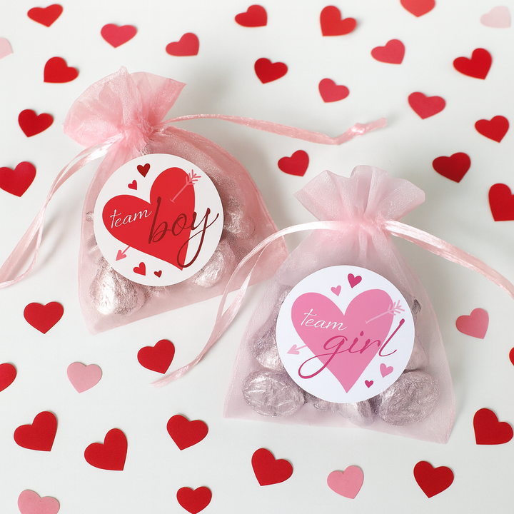 Pegatinas de revelación de género del Día de San Valentín: Corazones rojos y rosados ​​- Pegatinas del equipo Él o del Equipo Ella - 40 pegatinas