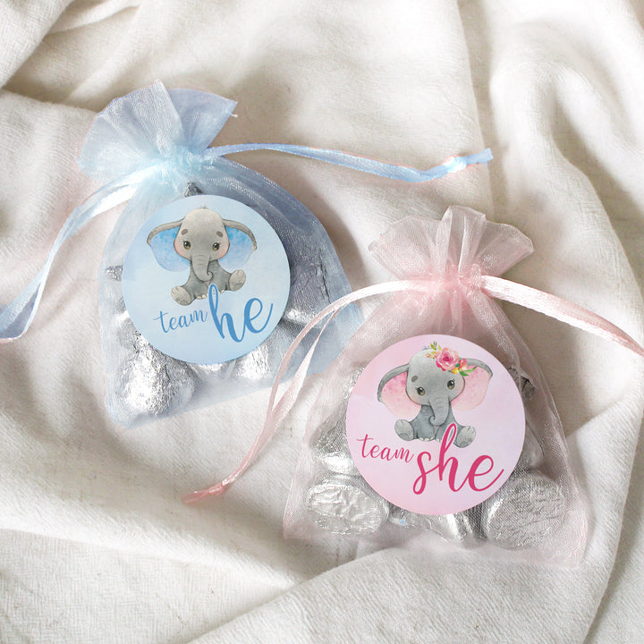 Elephant: Gender Reveal Party -Team He or Team She - 40 Stickers