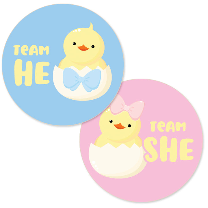 Little Chicks Gender Reveal Party Stickers – Team He or Team She – 40 Pack (1.75" Round Voting Stickers)