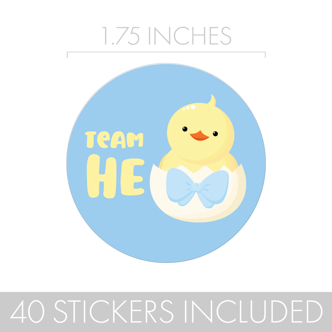 Little Chicks: Gender Reveal Party - Team He or Team She - 40 Stickers