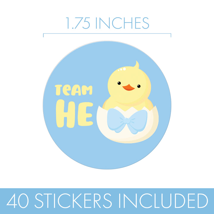 A sticker design preview showing a round sticker with a yellow duckling hatching from a white shell on a light blue background, with the words 'TEAM HE' in yellow. Text above says '1.