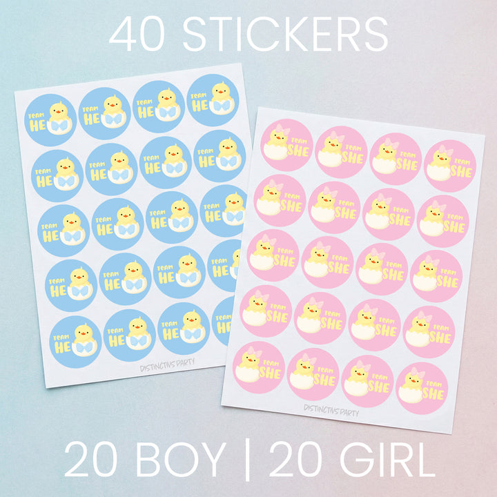 Little Chicks Gender Reveal Party Stickers – Team He or Team She – 40 Pack (1.75" Round Voting Stickers)
