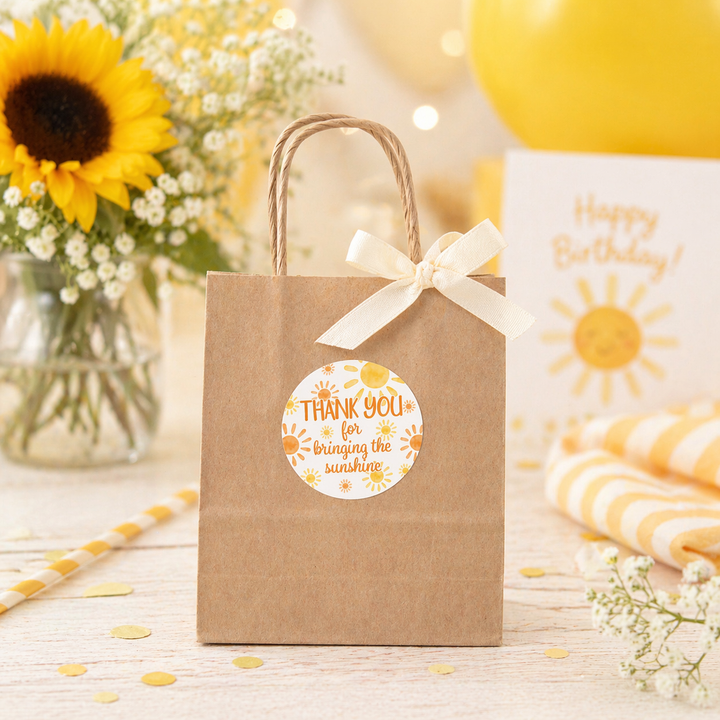 1st Trip Around the Sun - 1st Birthday: Circle Label Stickers, Thank You - 40 Stickers
